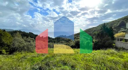 Продажа - Земельный участок 8000 m² на о. Корфу