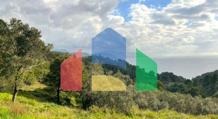 Продажа - Земельный участок 8000 m² на о. Корфу