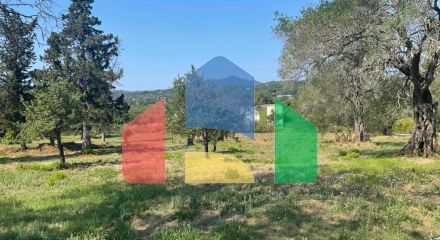 For Sale - Land 4154 m² in Corfu