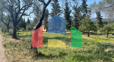 For Sale - Land 4154 m² in Corfu