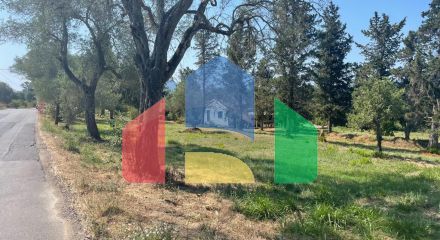 For Sale - Land 4154 m² in Corfu