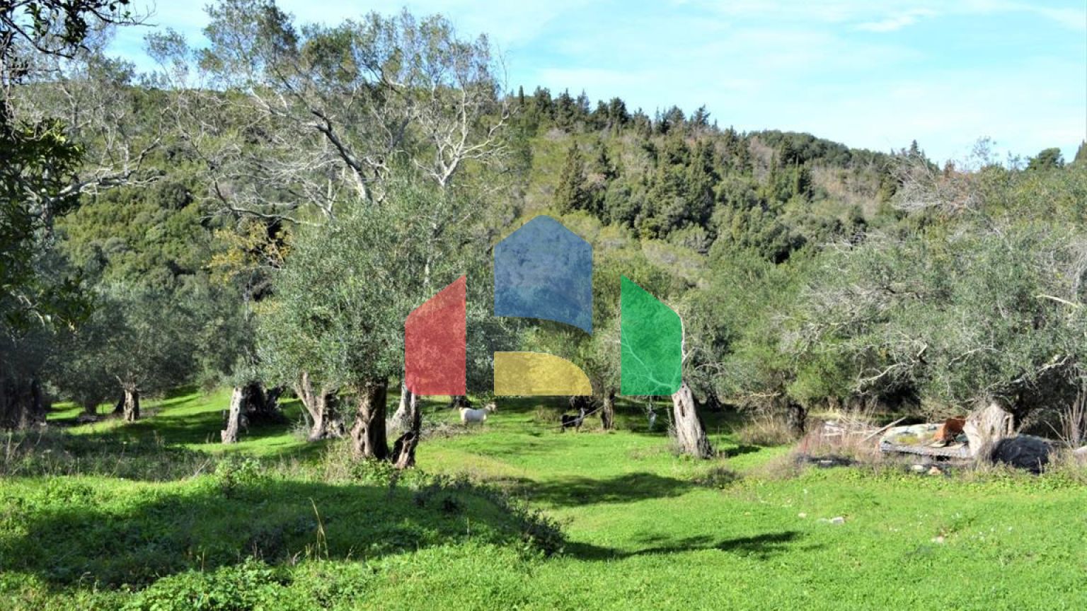 Продажа - Земельный участок 6000 m² на о. Корфу