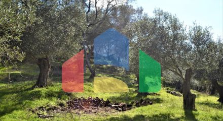 Продажа - Земельный участок 6000 m² на о. Корфу