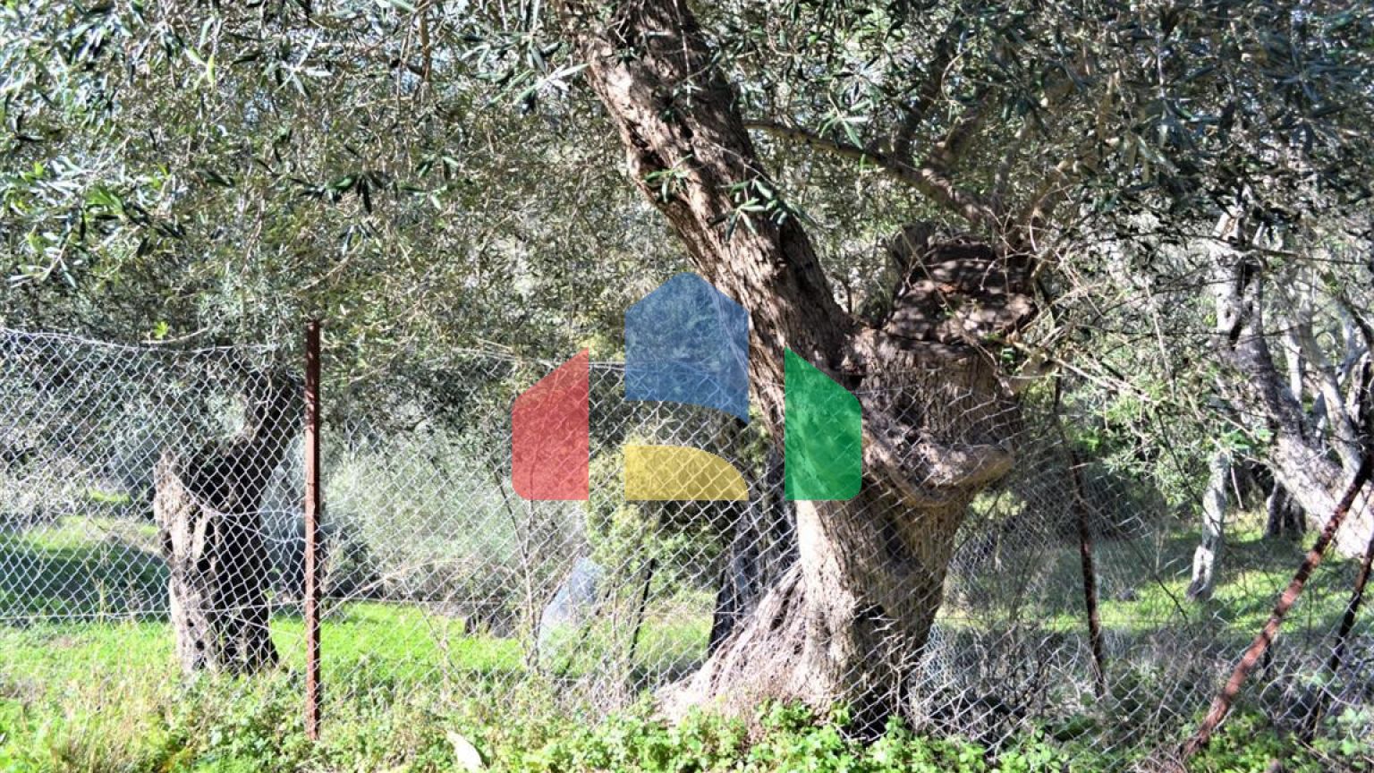 Продажа - Земельный участок 6000 m² на о. Корфу