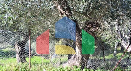 Продажа - Земельный участок 6000 m² на о. Корфу