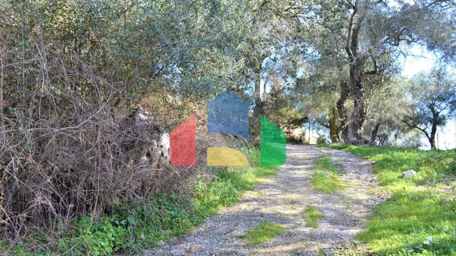 Продажа - Земельный участок 6000 m² на о. Корфу