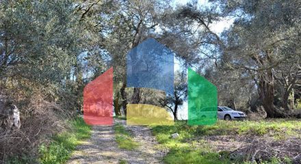 Продажа - Земельный участок 6000 m² на о. Корфу