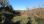 For Sale - Land 4296 m² in Corfu