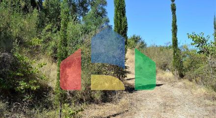 For Sale - Land 4343 m² in Corfu