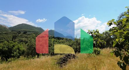 Продажа - Земельный участок 2000 m² на о. Корфу