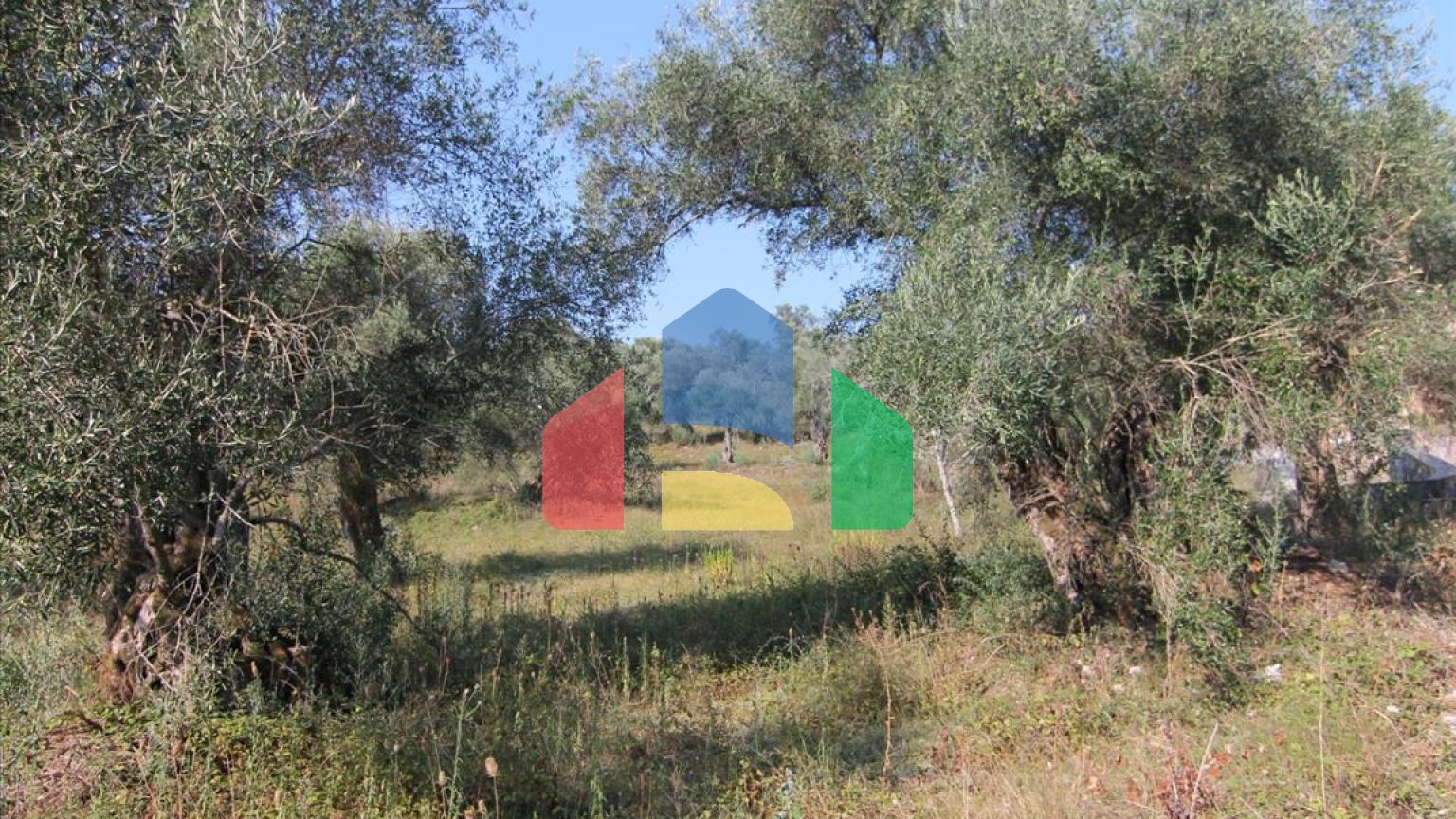 Продажа - Земельный участок 16000 m² на о. Корфу