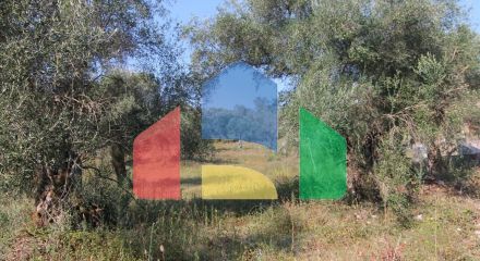 Продажа - Земельный участок 16000 m² на о. Корфу