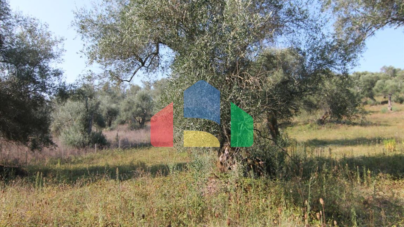 Продажа - Земельный участок 16000 m² на о. Корфу