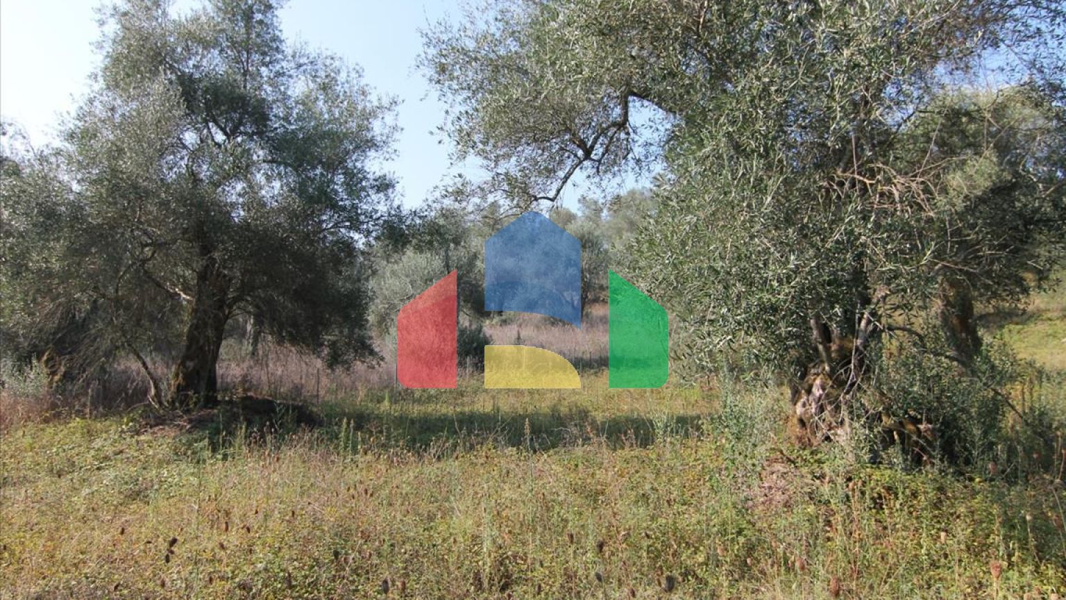 Продажа - Земельный участок 16000 m² на о. Корфу