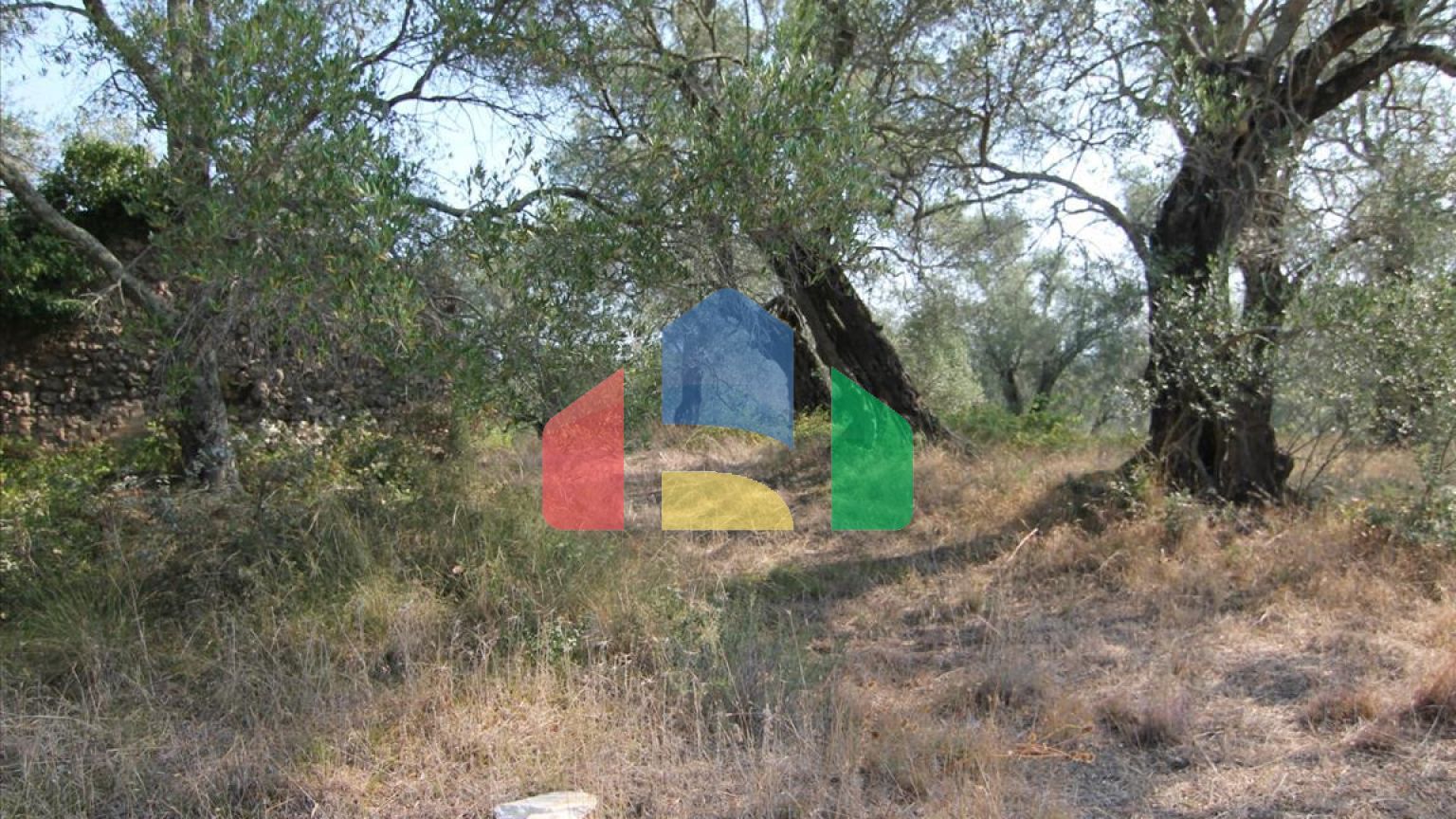 Продажа - Земельный участок 16000 m² на о. Корфу