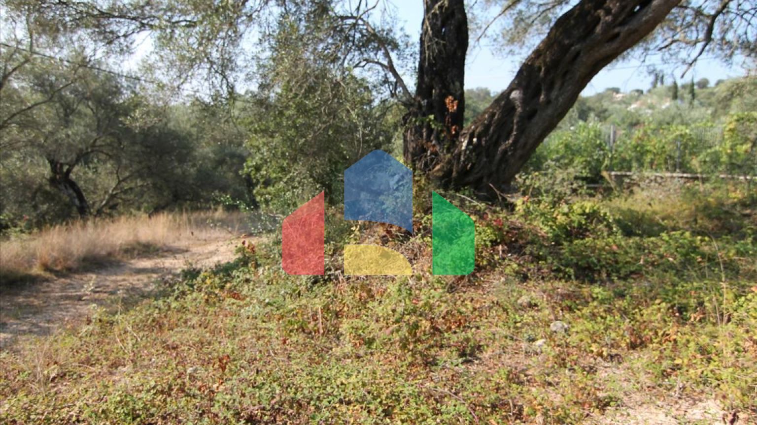 Продажа - Земельный участок 16000 m² на о. Корфу