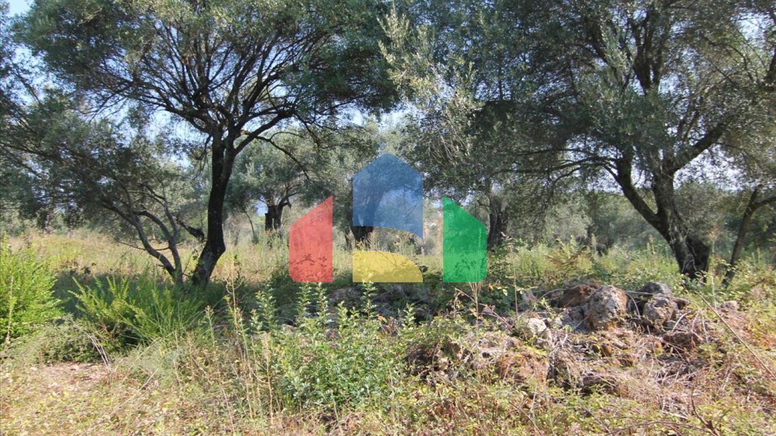 Продажа - Земельный участок 16000 m² на о. Корфу