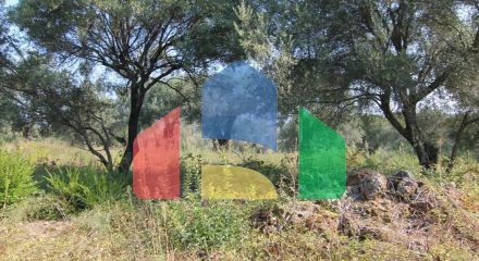 Продажа - Земельный участок 16000 m² на о. Корфу