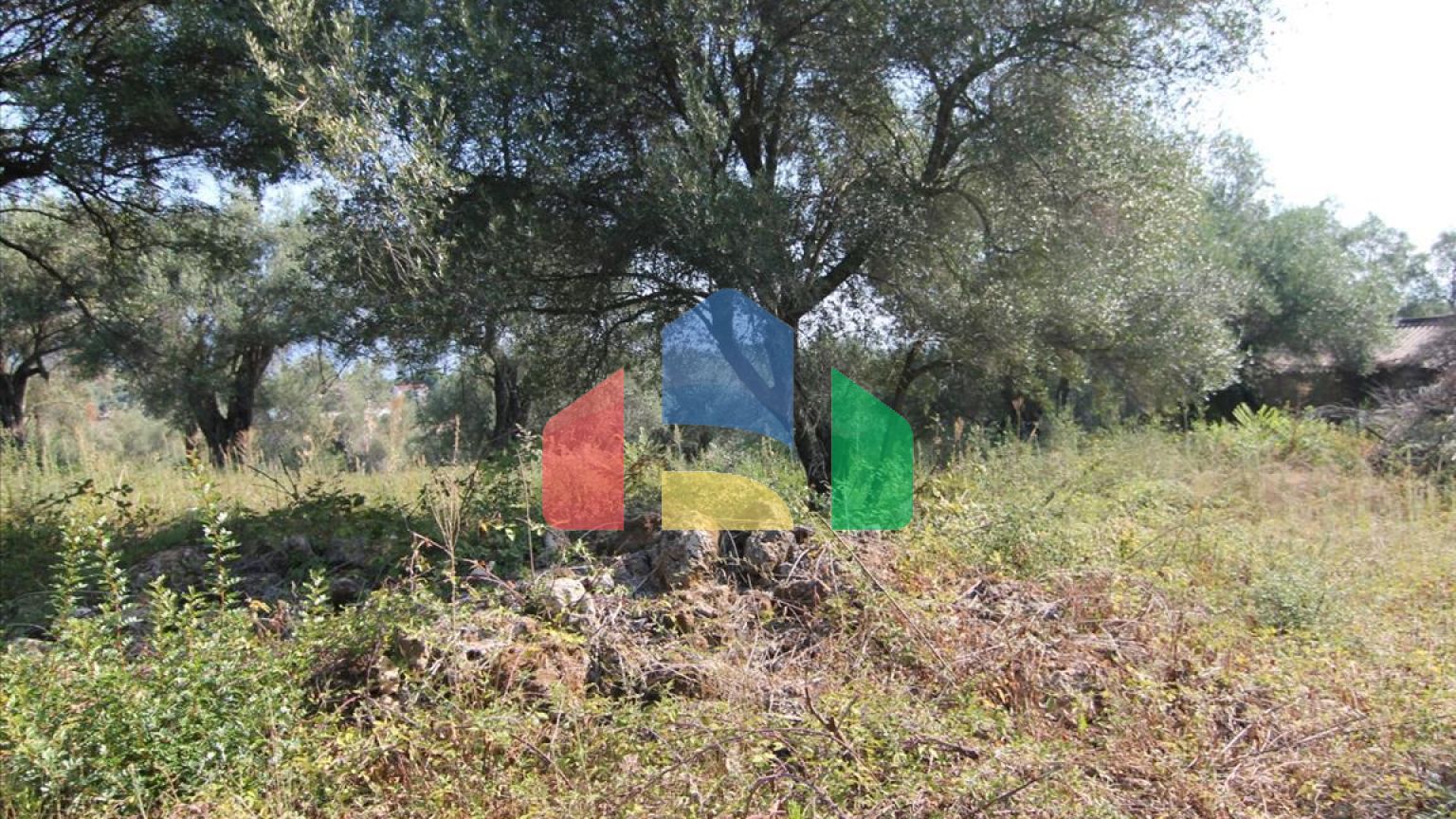 Продажа - Земельный участок 16000 m² на о. Корфу