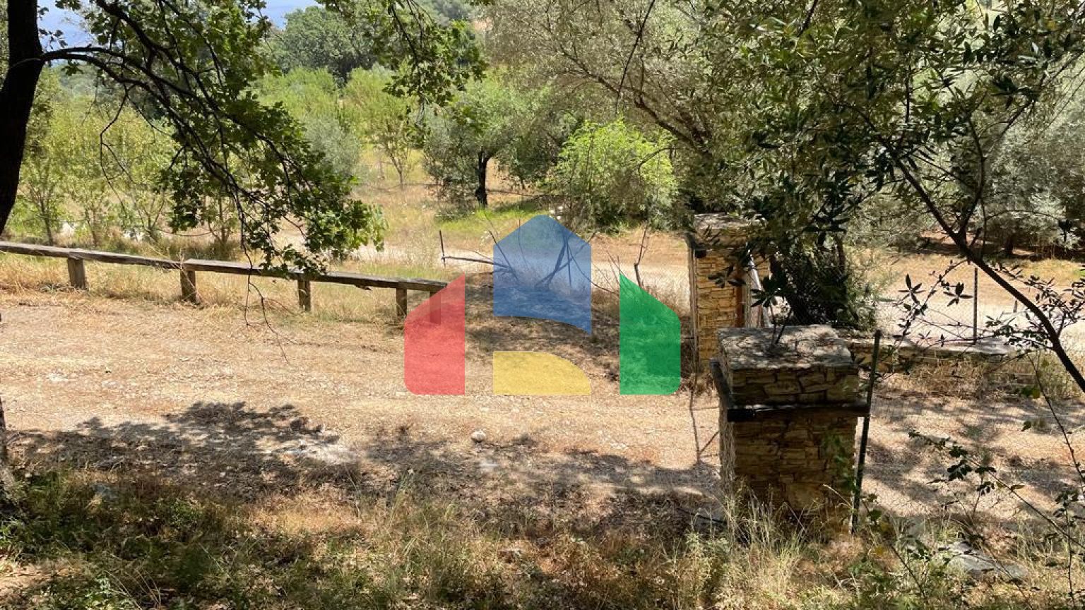 Продажа - Земельный участок 26159 m² на о. Корфу