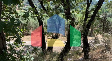 Продажа - Земельный участок 26159 m² на о. Корфу