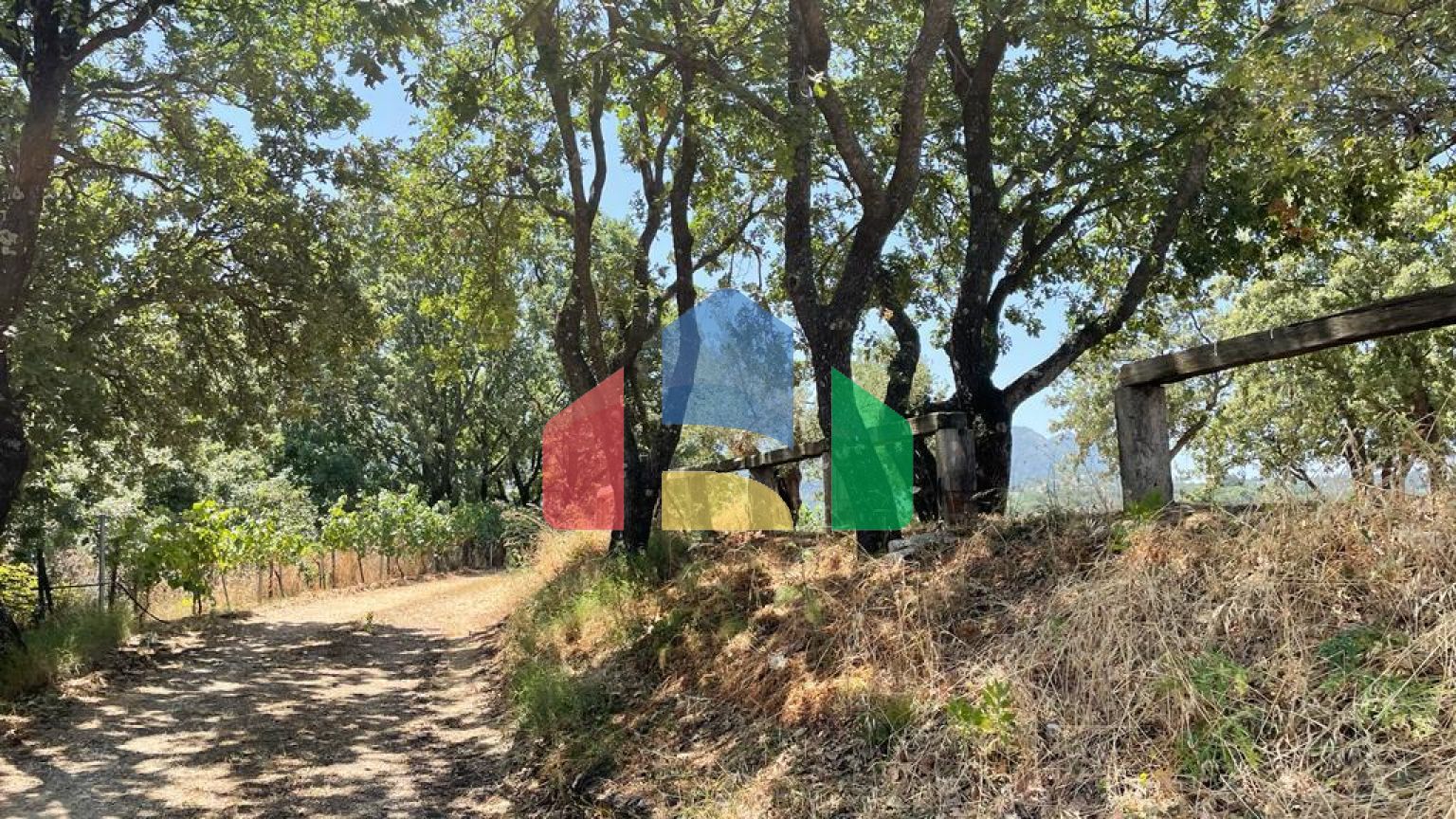 Продажа - Земельный участок 26159 m² на о. Корфу