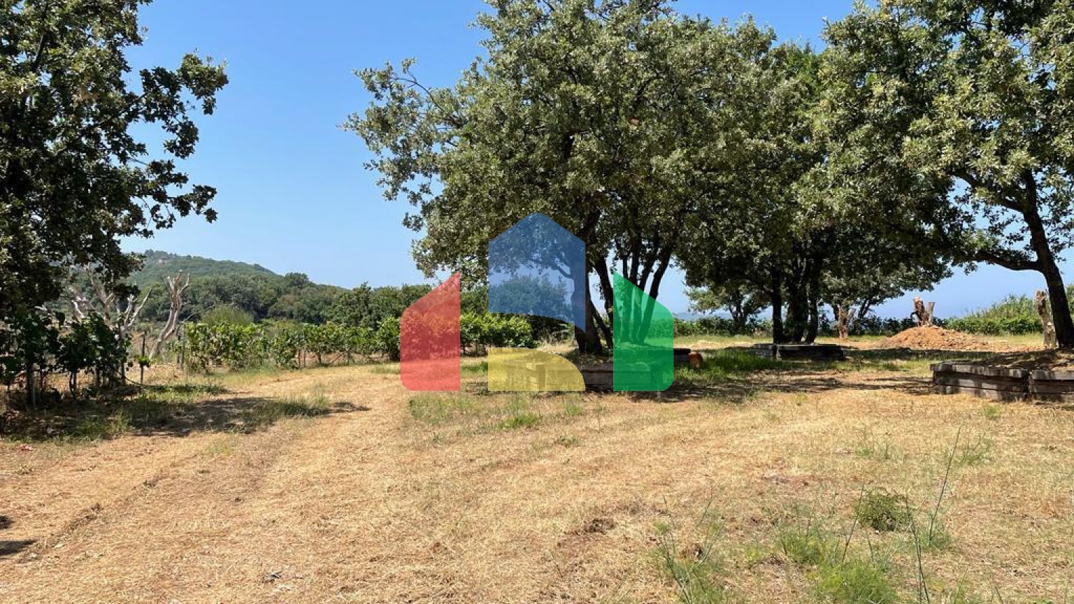 Продажа - Земельный участок 26159 m² на о. Корфу