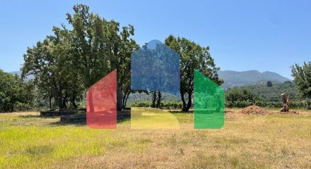 Продажа - Земельный участок 26159 m² на о. Корфу