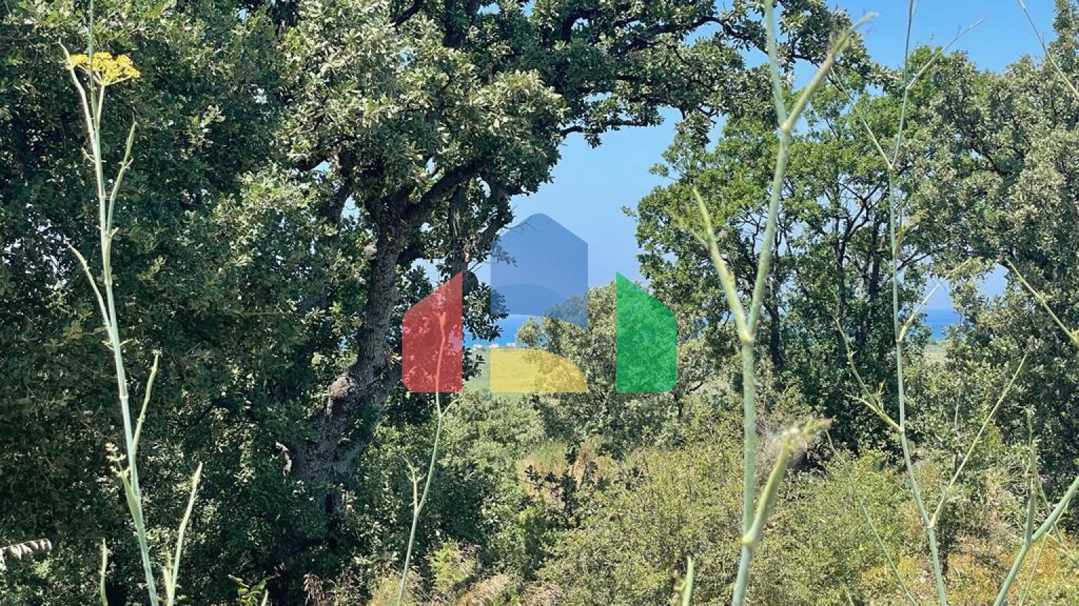 Продажа - Земельный участок 26159 m² на о. Корфу