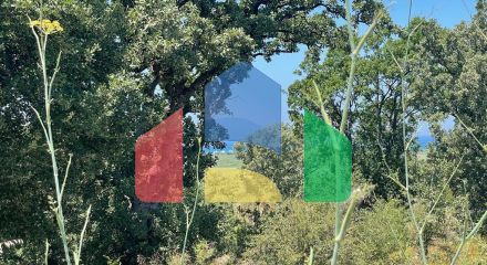 Продажа - Земельный участок 26159 m² на о. Корфу