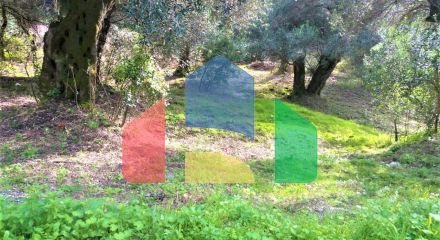For Sale - Land 780 m² in Corfu
