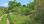For Sale - Land 4000 m² in Corfu