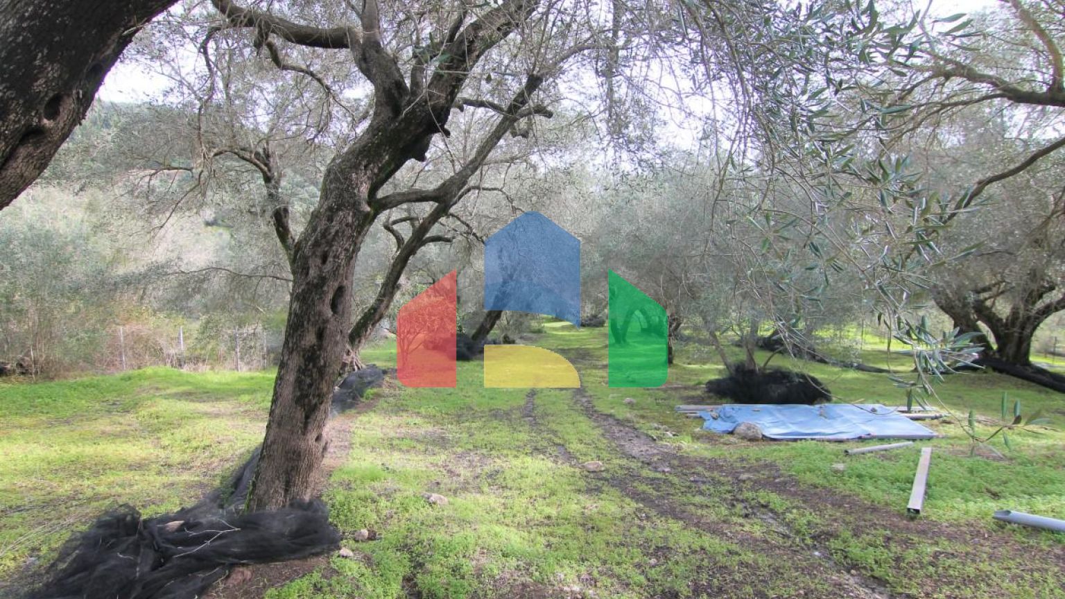 Продажа - Коттедж 240 m² на о. Корфу