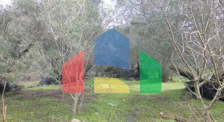 Продажа - Коттедж 240 m² на о. Корфу Продажа - Коттедж 240 m² на о. Корфу