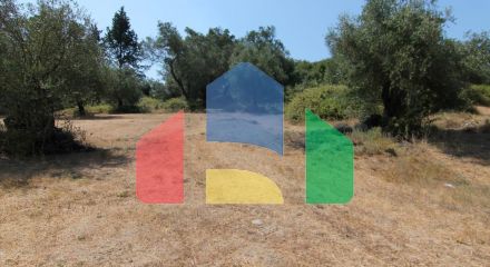 For Sale - Land 4500 m² in Corfu