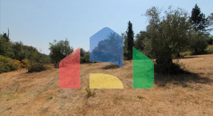 For Sale - Land 4500 m² in Corfu