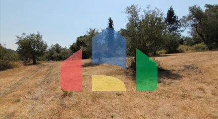 For Sale - Land 4500 m² in Corfu
