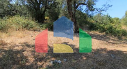 For Sale - Land 4500 m² in Corfu