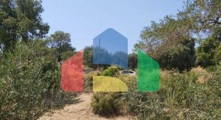 Продаж - Котедж 355 m² на о. Корфу