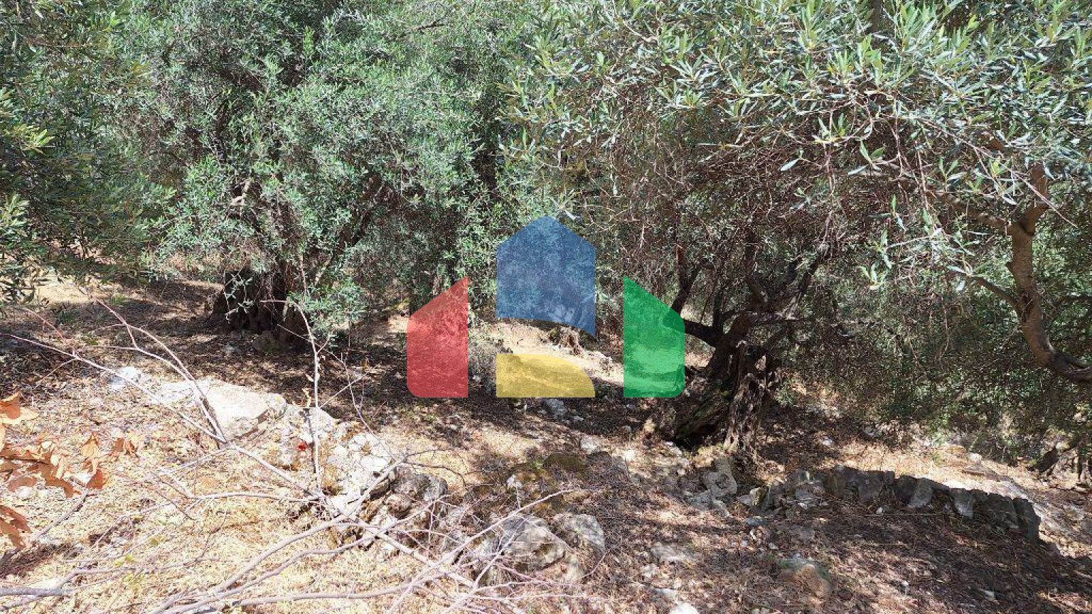 Продаж - Земельна ділянка 2100 m² на о. Корфу