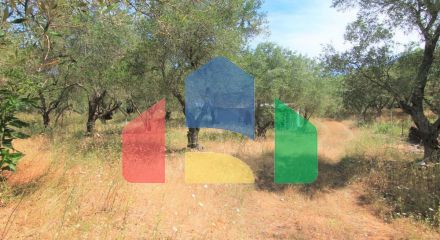 For Sale - Land 10000 m² in Corfu