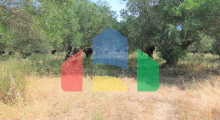 For Sale - Land 10000 m² in Corfu