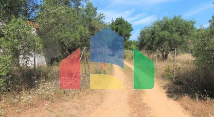 For Sale - Land 10000 m² in Corfu
