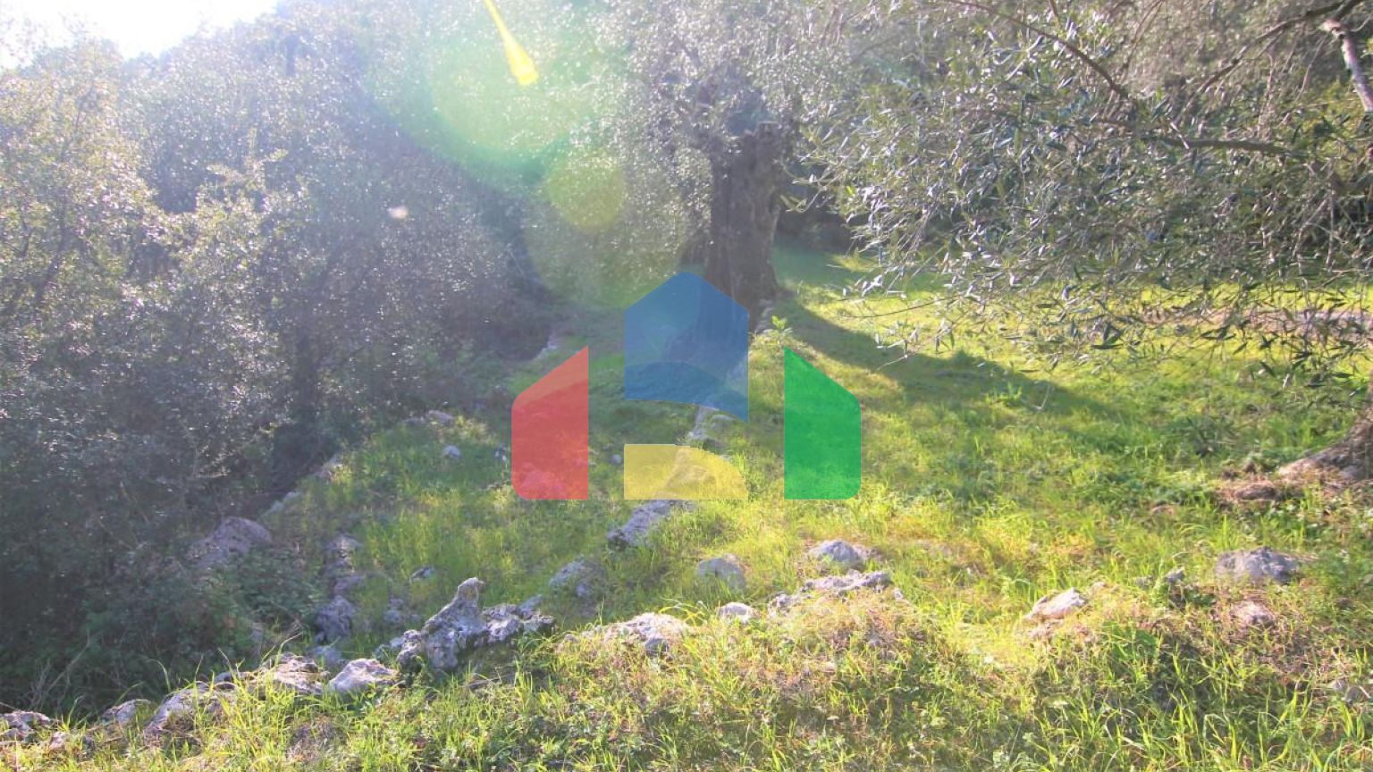 Продажа - Земельный участок 5000 m² на о. Корфу