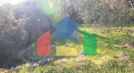 Продажа - Земельный участок 5000 m² на о. Корфу