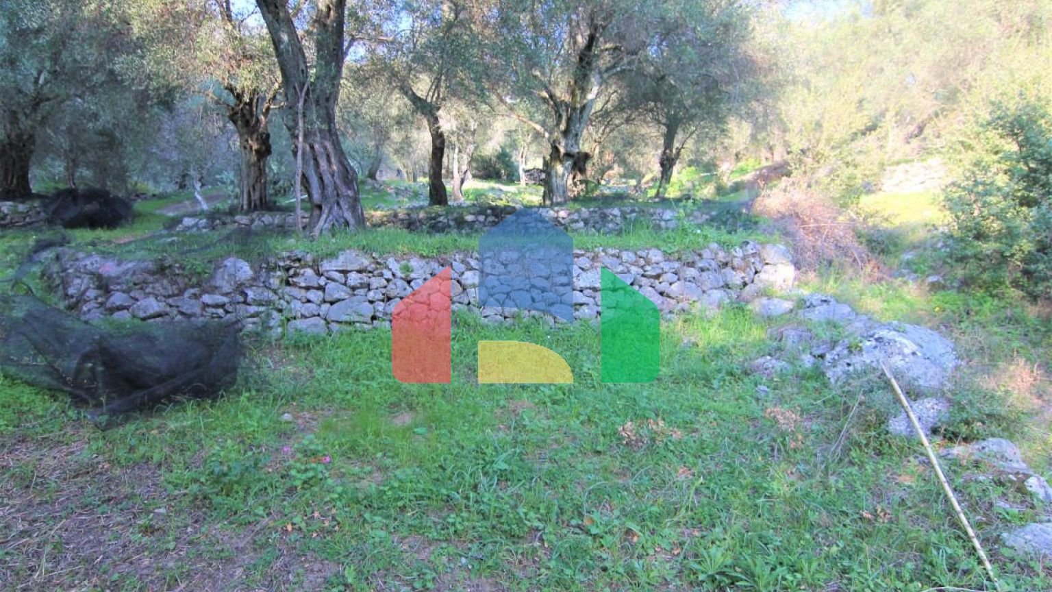 Продажа - Земельный участок 5000 m² на о. Корфу