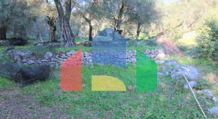 Продажа - Земельный участок 5000 m² на о. Корфу