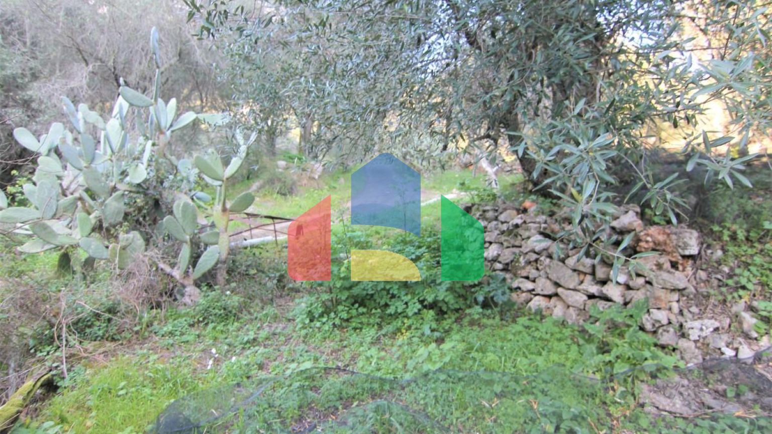 Продажа - Земельный участок 5000 m² на о. Корфу