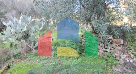 Продажа - Земельный участок 5000 m² на о. Корфу