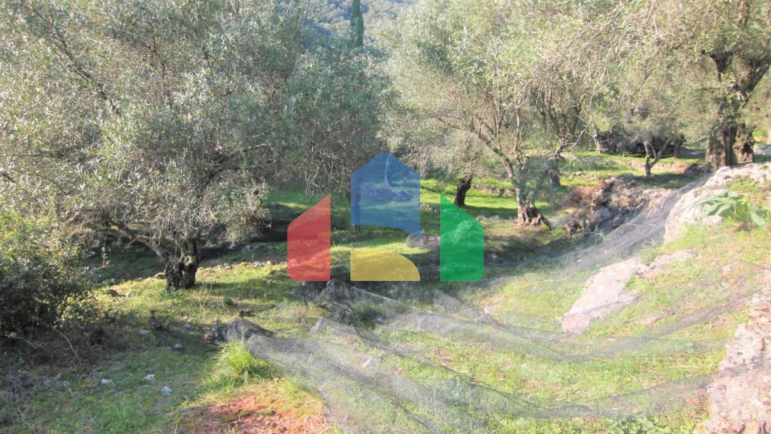 Продажа - Земельный участок 5000 m² на о. Корфу